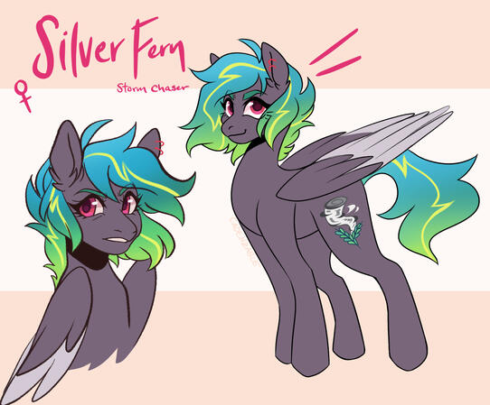 pony
